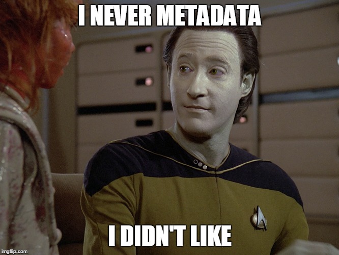 Metadata is vital for SEO.